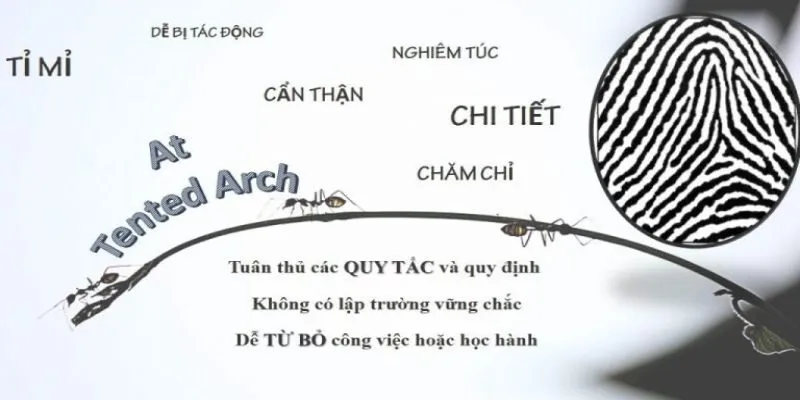 Phương pháp giao tiếp hiệu quả với người sở hữu vân tay AT