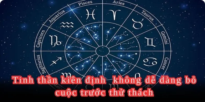 Nhận ra cung hoàng đạo nào thủ đoạn nhất cần tập trung cao độ