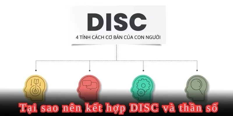 Lý giải việc nên kết hợp DiSC và thần số học 