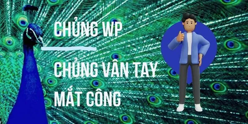 Chủng Vân Tay WP