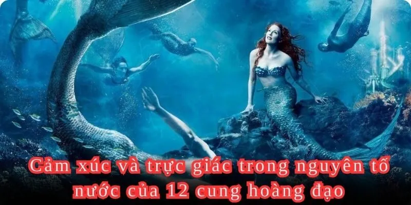 Cảm xúc của Cự giải là một trong những nguyên tố nước của 12 cung hoàng đạo