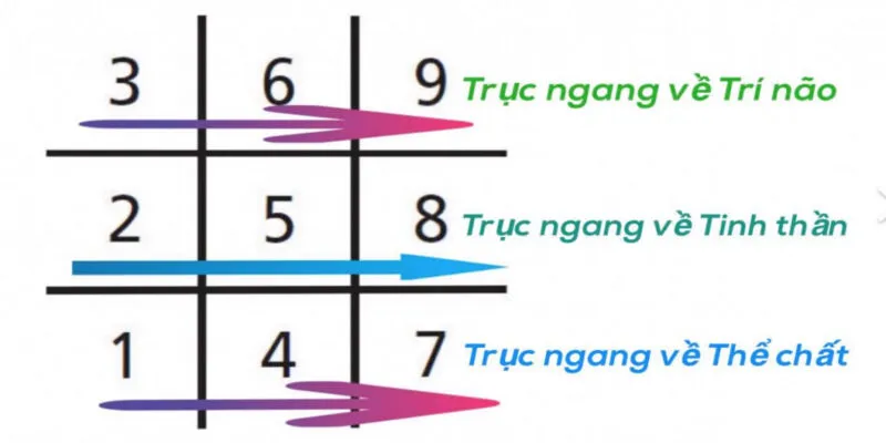 Số 7 trong biểu đồ ngày sinh