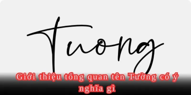 Tên Tường có ý nghĩa gì