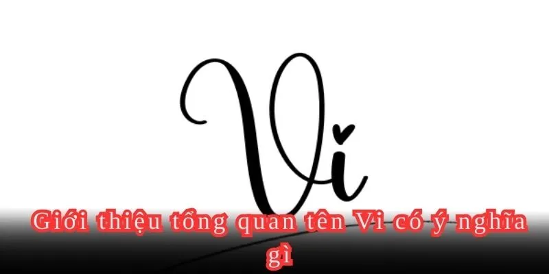 Giới thiệu tổng quan tên Vi có ý nghĩa gì