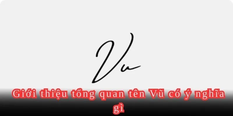 Giới thiệu tổng quan tên Vũ có ý nghĩa gì