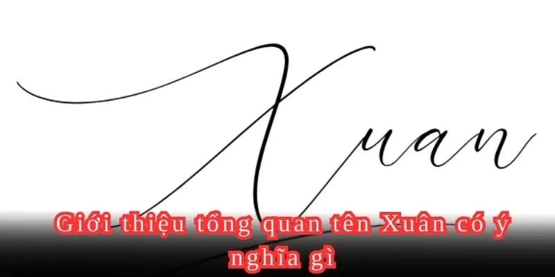 Giới thiệu tổng quan tên Vũ có ý nghĩa gì